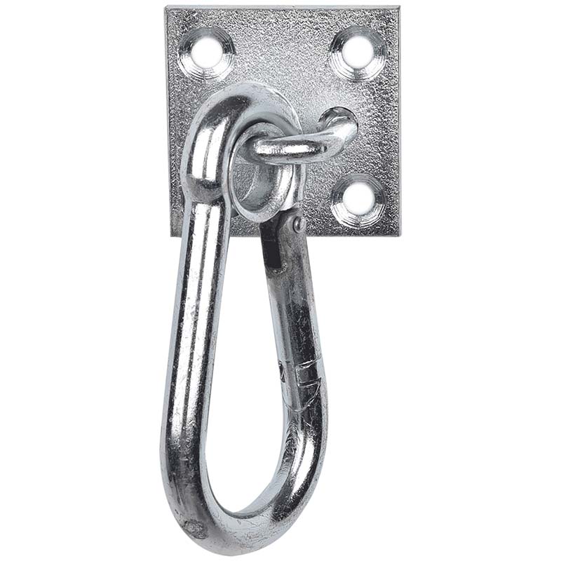Carabiner hook on wall plate