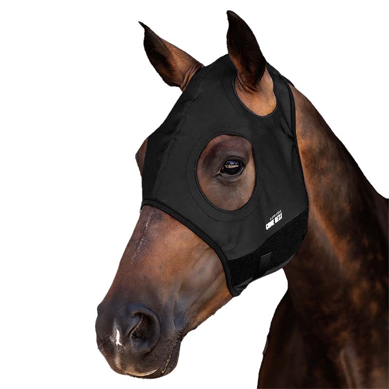 Lami-cell titanium fly mask without ears come best model