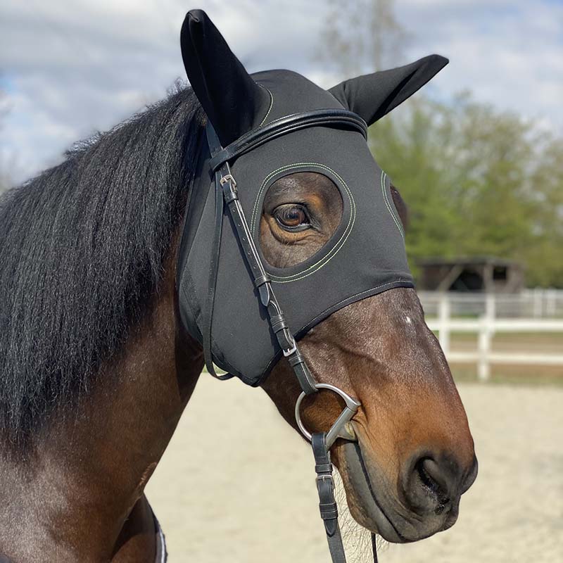 Bio titanium therapeutic mask for horses