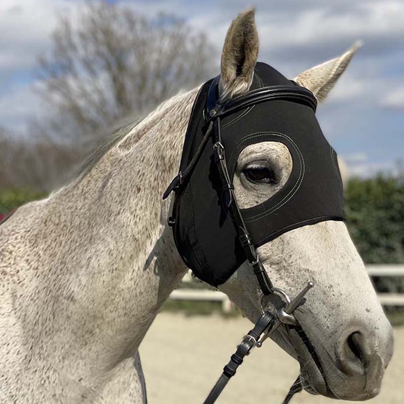 Bio titanium therapeutic mask for horses without ear protection