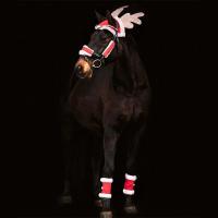CHRISTMAS SET FOR HORSES, HOOD, HALTER COVER AND BANDS - 9312