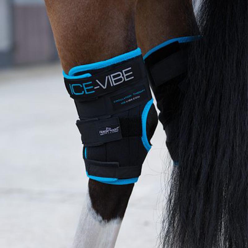 Rear hock horseware ice-vibe hock wrap