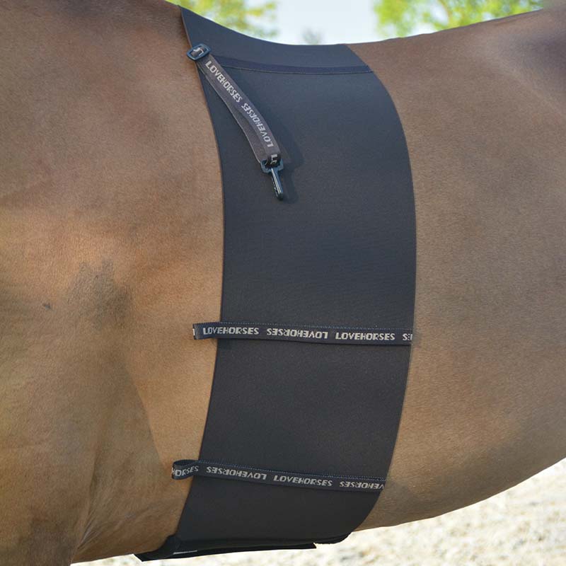 Band of respect original deluxe lovehorses body bandage
