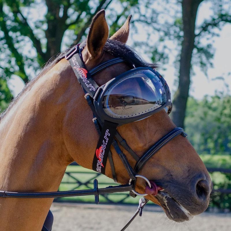  equick evysor transparent eye protection for horses