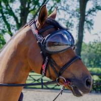  eQUICK eVYSOR TRANSPARENT EYE PROTECTION FOR HORSES