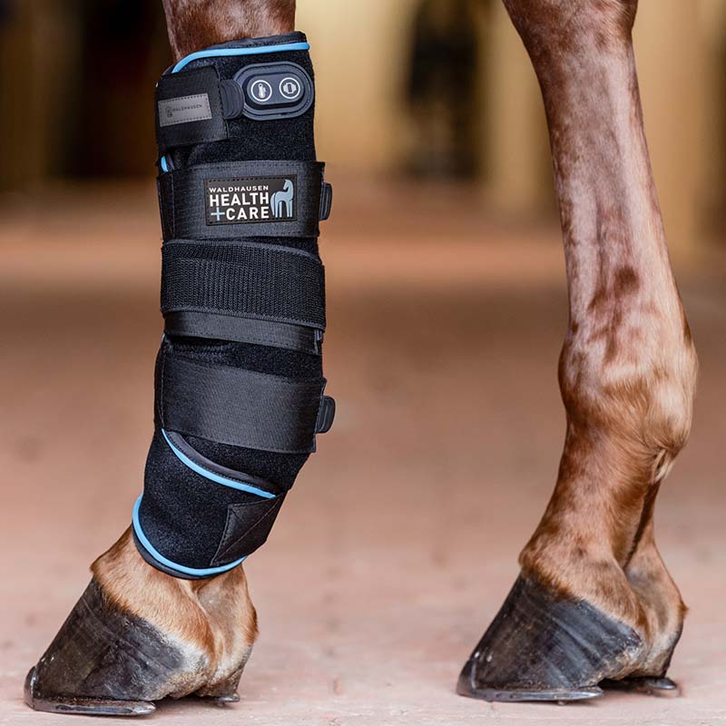 Therapeutic horse boot with hot/cold function waldhausen - 1112