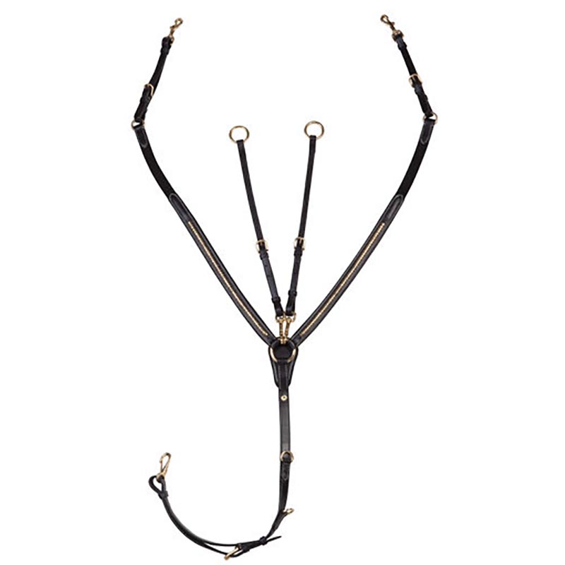 Pariani english breastplate with brass clincher