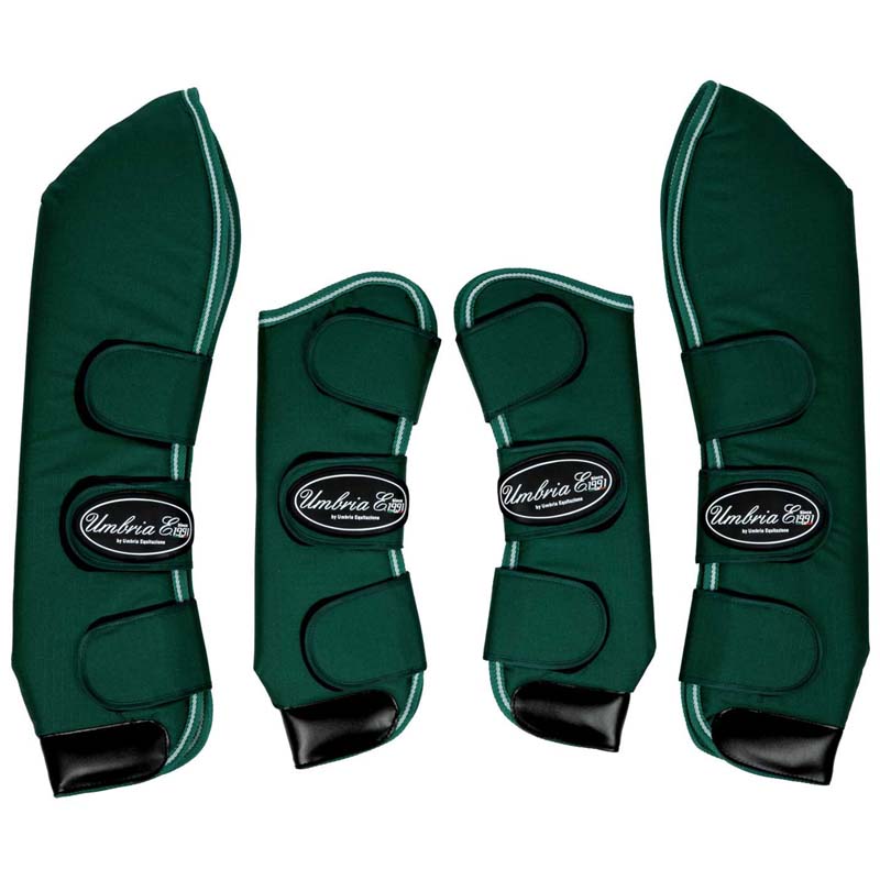 Set of 4 transport bumpers - 1562