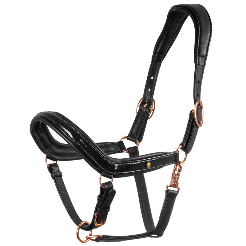 Equestro glossy leather halter with rose gold buckles