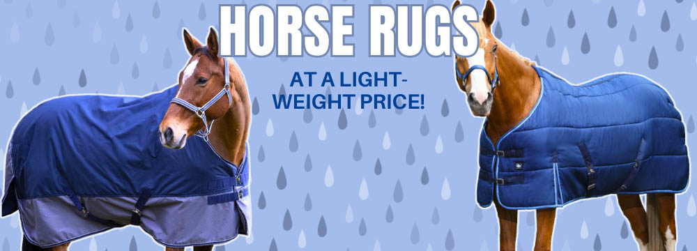 The best horse rugs for Autumn and Winter!