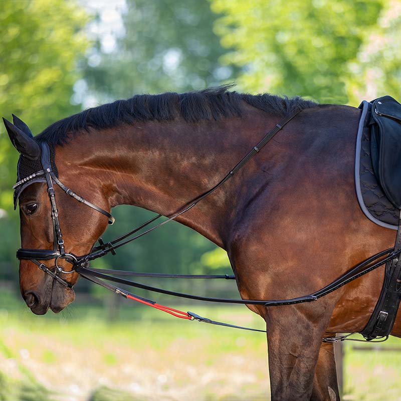 Waldhausen w-trainrein draw reins - 0989