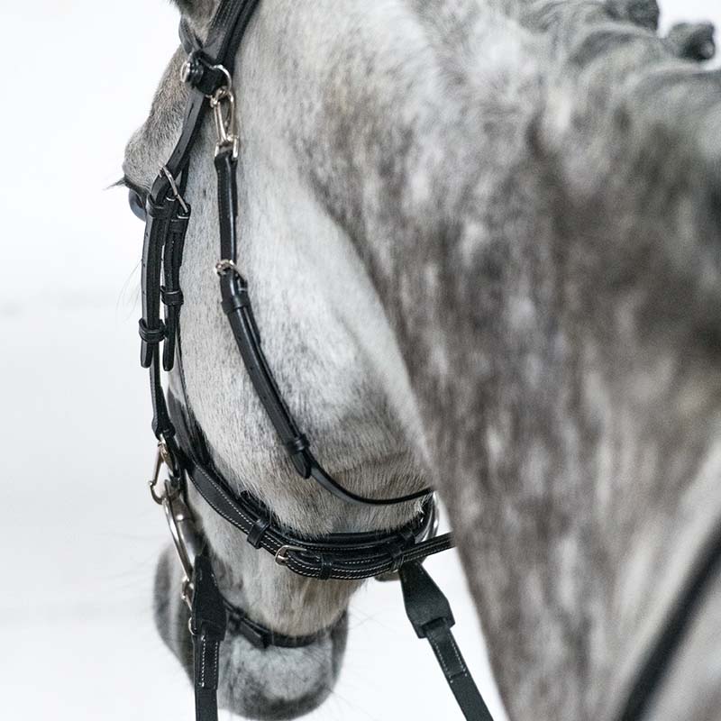 Anatomical bridle horsena in leather model work - 3791