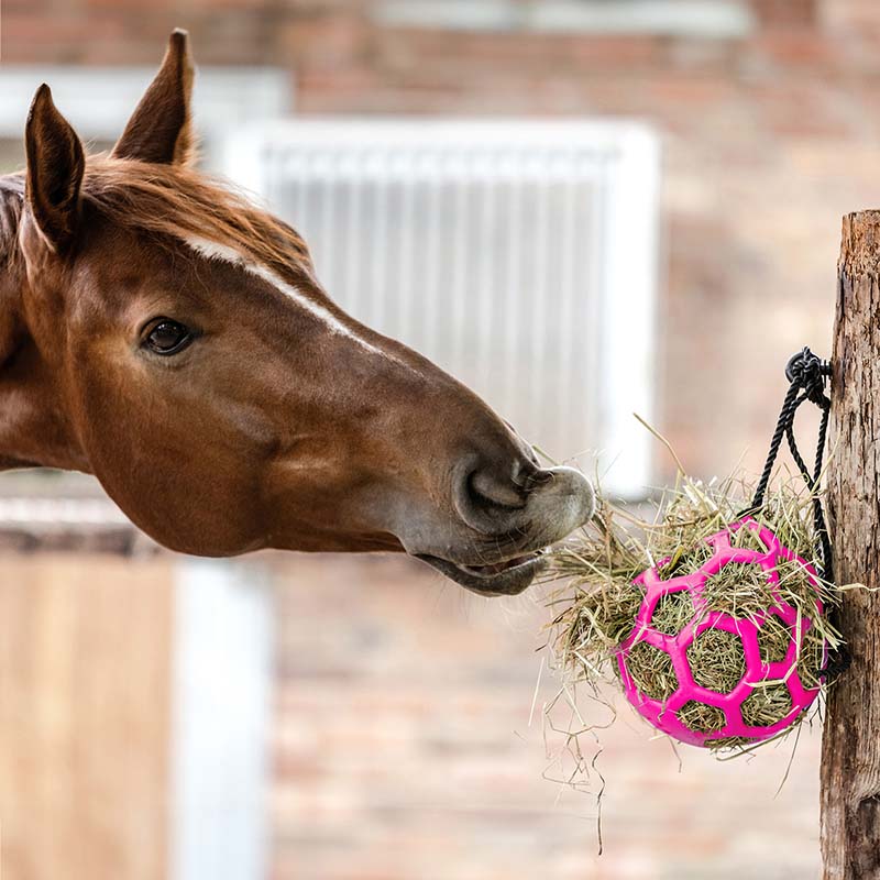 Waldhausen hay ball for horses - 6552