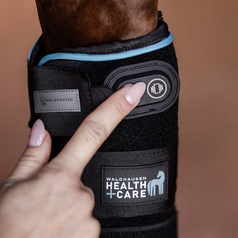 Therapeutic horse boot with hot/cold function waldhausen - 1112