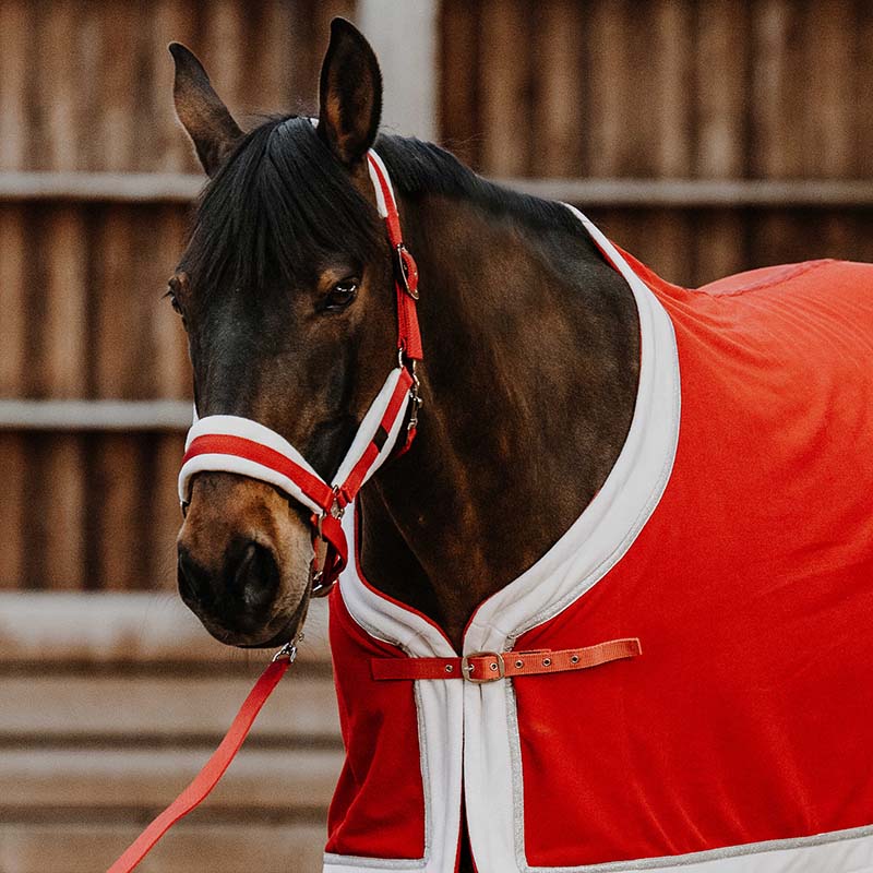 Equitheme Xmas Christmas Halter and Lead Rope Set - 9329