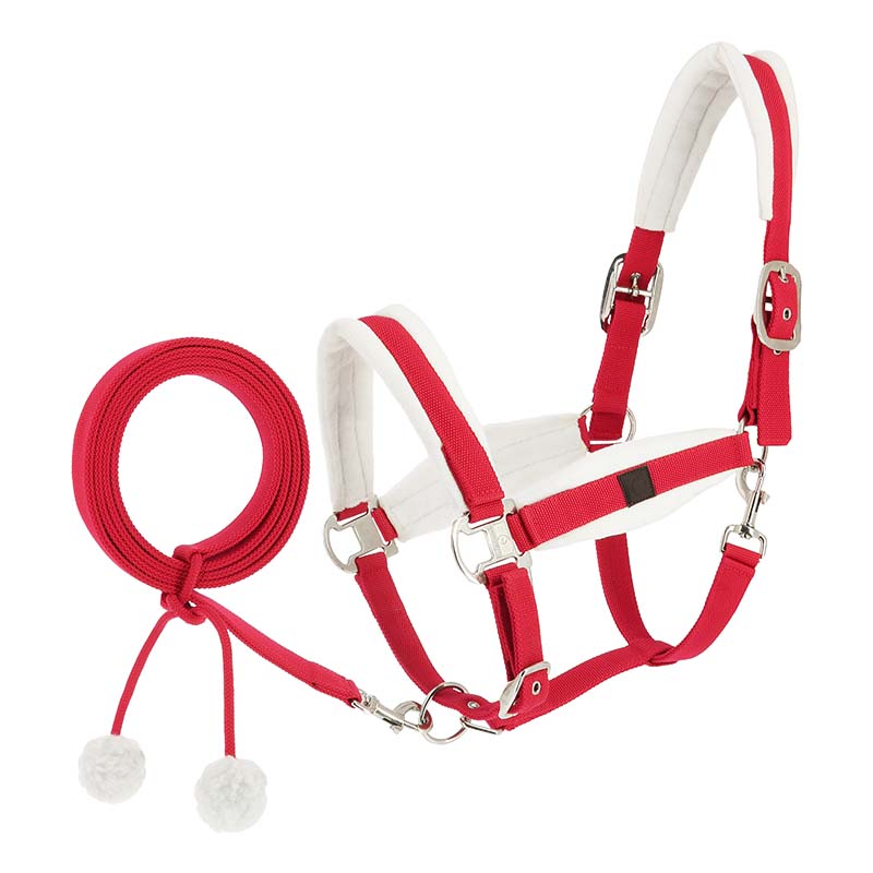 Equitheme Xmas Christmas Halter and Lead Rope Set