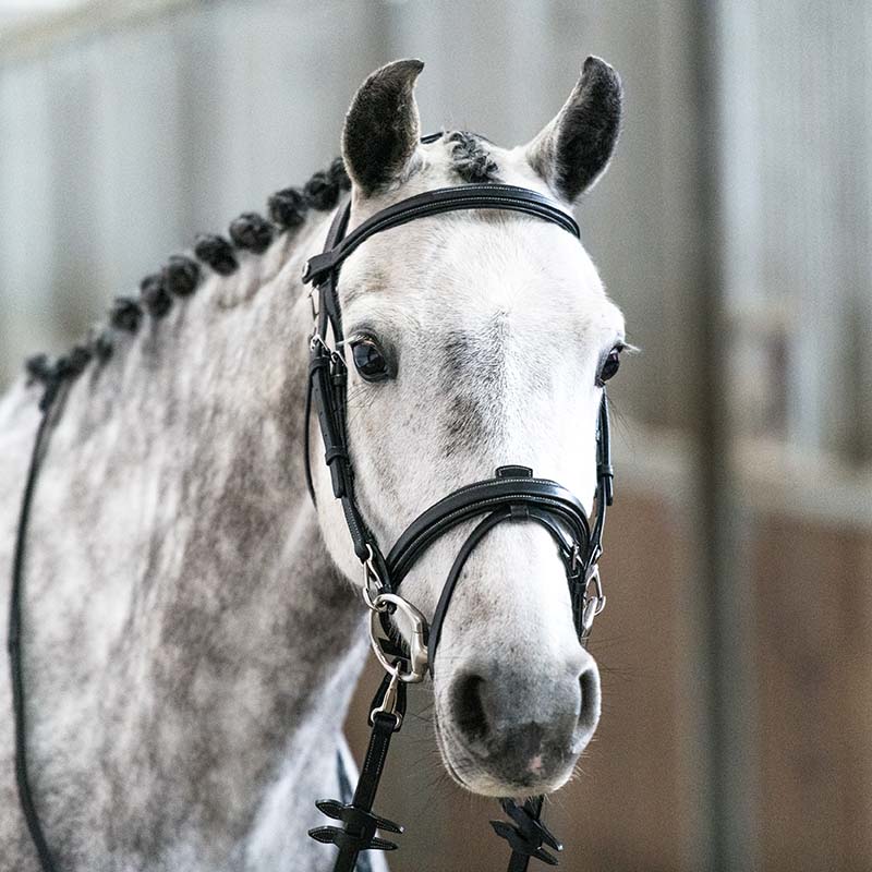 Anatomical bridle horsena in leather model work - 3791