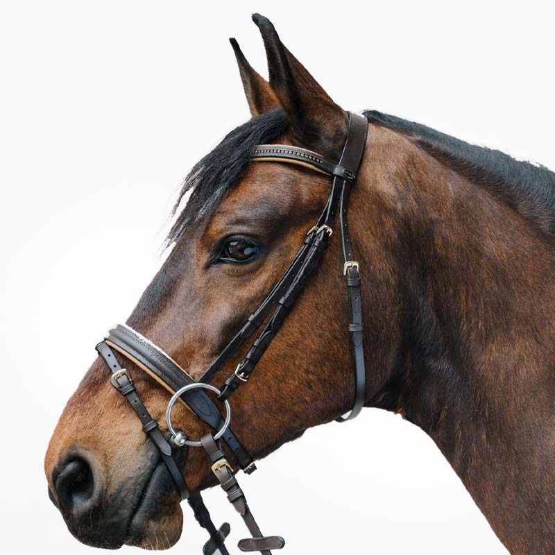 English bridle star diamond with rhinestone various color - 2330