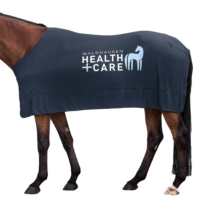 Summer cooling horse blanket Ice Layer