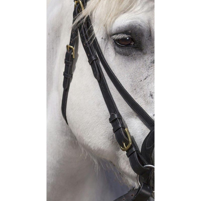 Draught horse complete bridle for heavy horse - 2319