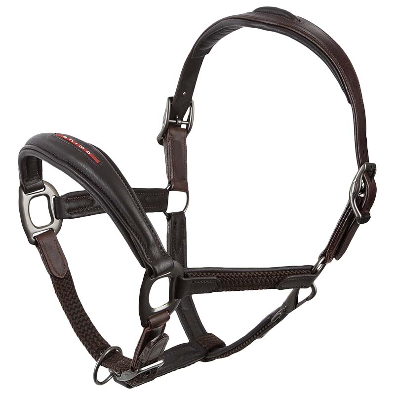 Halter in real leather animo
